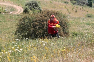 Köy Fotoğrafları