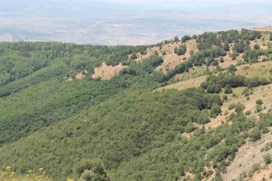 Köy Fotoğrafları